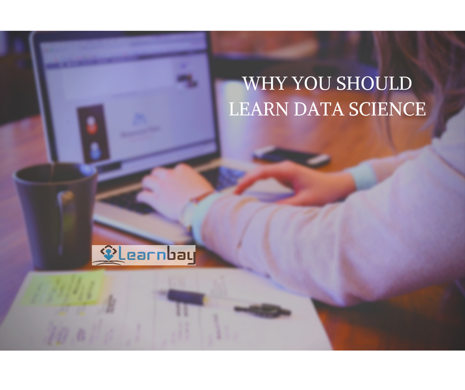 WHY YOU SHOULD LEARN DATA SCIENCE
