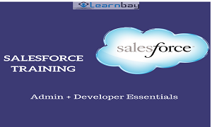 salesforce training in bangalore