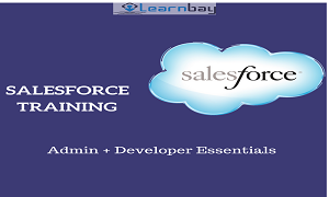 salesforce training in bangalore salesforce training in bangalore